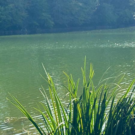 Lac De Lumiere. Relax With Rural Lakeside Living Herry Екстер'єр фото